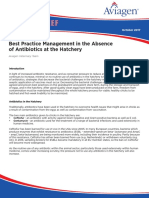 Aviagenbrief: Best Practice Management in The Absence of Antibiotics at The Hatchery