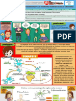 Explicamos Que Los Neurotransmisores Y Las Hormonas Permiten Regular Emociones