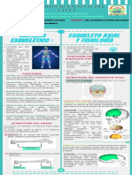 Infografía de Esqueleto Axial, Estructura y Fisiología - Ruiz Saavedra Yomira Yulissa