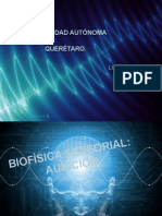 Biofisica Sensorial