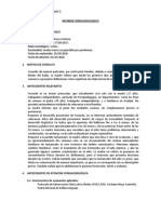 Informe Facundo Sanhueza