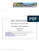 CR Diagnostic Culturel de Territoire