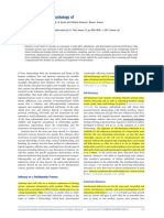 Love and Intimacy, Psychology Of: Panos Kordoutis, Panteion University of Social and Political Sciences, Athens, Greece