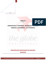 TEMA 24 6.3.d PLANTILLA THE GLOBE