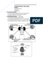 Q. List Different Functions of The Kidney: (A) Homeostatic Function