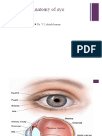 Anatomy of Eye: Dr. Y. Lokesh Kumar