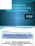 Principios Fundamentales Del Proceso Penal