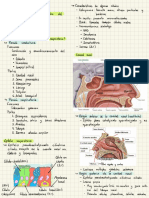 Aparato Respiratorio