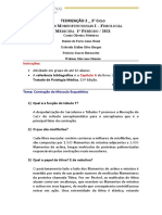 Documentos Junior