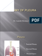 Pleura 1