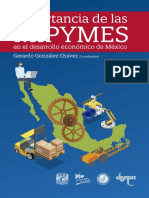 Libro Pymes 2021