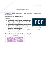 Libro Laboratorio de Patología