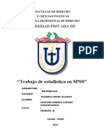 Trabajo Encargado de Estadistica - Cristina Choque