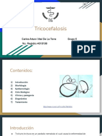 Tricocefalosis