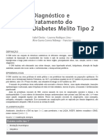 Protocolos Clínicos em Endocrinologia E Diabetes 3 Edição DM2