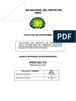 Universidad Nacional Del Centro Del Perú: Proyecto