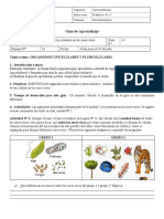 Cs 5EGB U2 G14 Organismos Unicelulares Pluricelulares