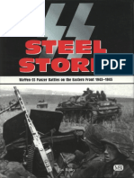 Steel Storm Waffen-SS Panzer Battles On The Eastern Front, 1943-1945