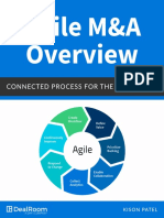 Agile M&A White Paper