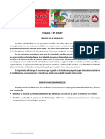 SECUENCIA 4° Grado - FUERZAS 2019 PDF