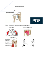 Muscles & Movements: Flexion