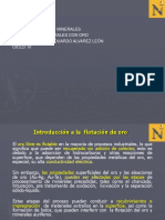 11.0 Semana 11 - Flotacion de Minerales de Oro