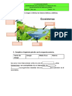 Evaluacion de C Naturales 2 Periodo