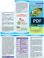 Foxtail Millet Brochure