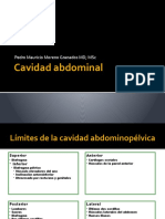 Cavidad Abdominal 1-1