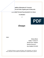 Ensayo de Los Derechos Internacionales y Los Derechos Humanos