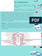 Infografía Comercial de Las Mejores Aplicaciones de Salud Ilustrativa