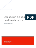 Evaluación Dislexia Mixta