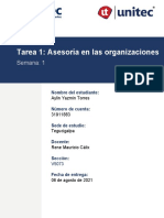 Tarea 1 Asesoría en Las Organizaciones