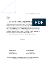 Carta de Culminacion 2