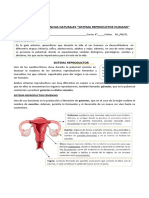 Guia Clase 26 Ciencias 6º SRF M