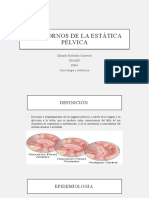 Trastornos de La Estática Pélvica