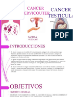 Canceres de Mama Cervicouterino y Testucular (Valen-Sandra)