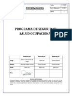 Programa de S.so. Ryd Servicios 2021