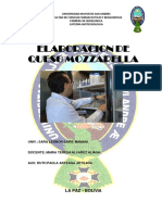 Elaboracion de Queso Mozzarella Informe