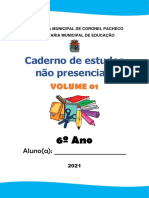 Caderno de Atividades Remotas