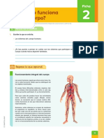 Cie1 Ficha 28092021