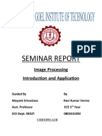 SEMINAR REPORT - Image Processing