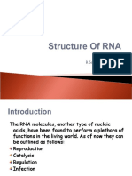 Structure of Rna