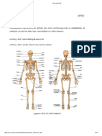 Osteologia