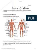 Miologia Do Esqueleto Apendicular