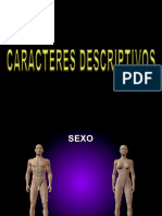 4 Caracteres Descriptivos