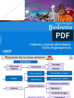 Clase 25 Cadenas y Tramas Alimentarias. Ciclos Biogeoquímicos