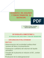 Diagnostico Ecográfico Del Segundo y Tercer Trimestre de Embarazo