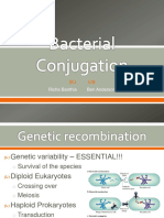 Bacterial Conjugation