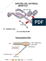 4 ARNs y Transcripción (2021 PS) - Clase 4